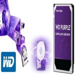 هارد 10 ترابایت وسترن دیجیتال WD بنفش - Image 3